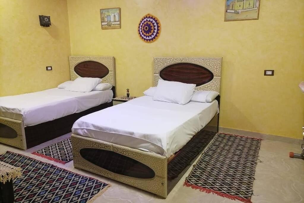 Private House With Garden And Terrace In Aswan